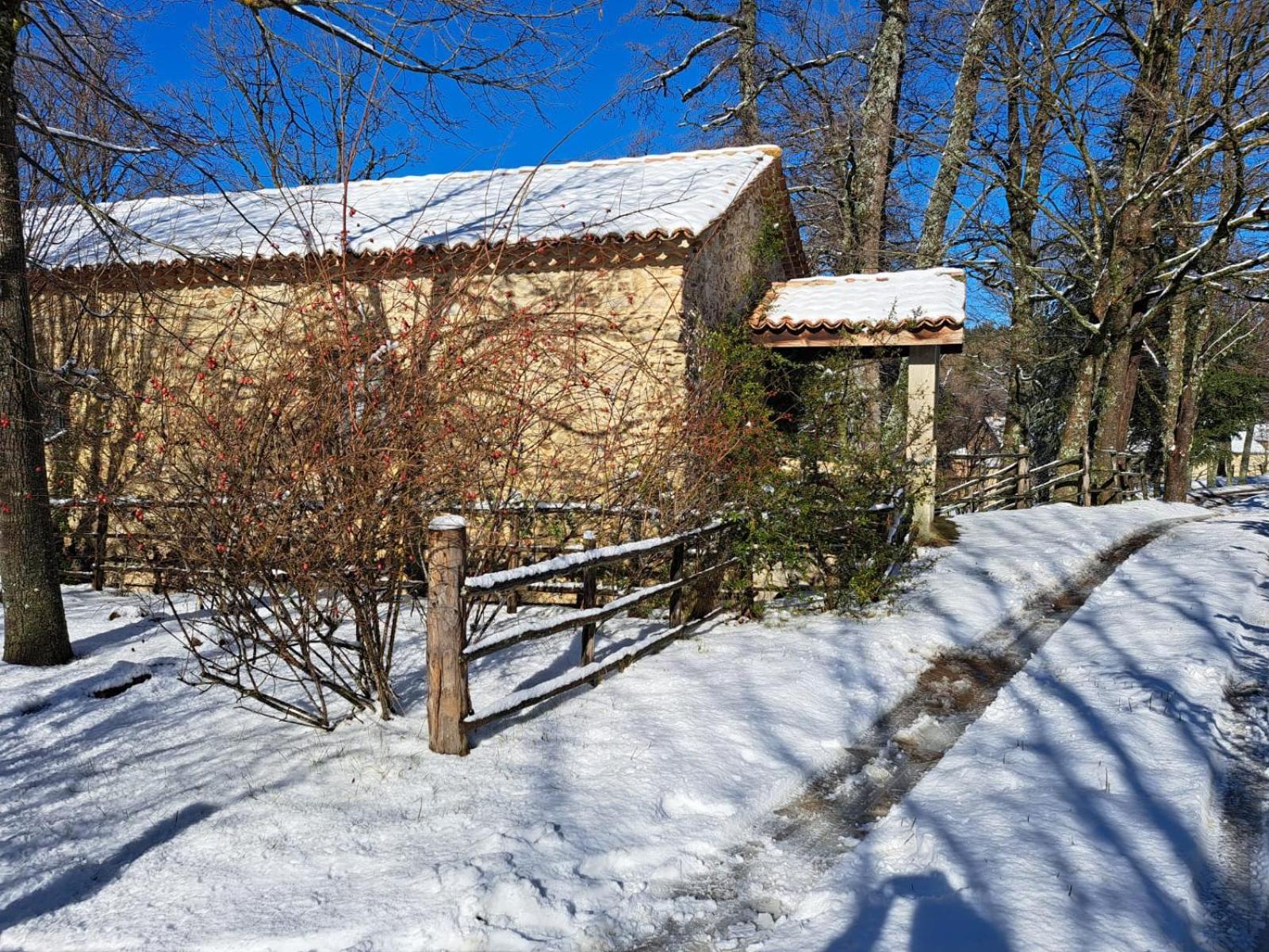 Hotel Torre Camigliati Camigliatello Silano Esterno foto