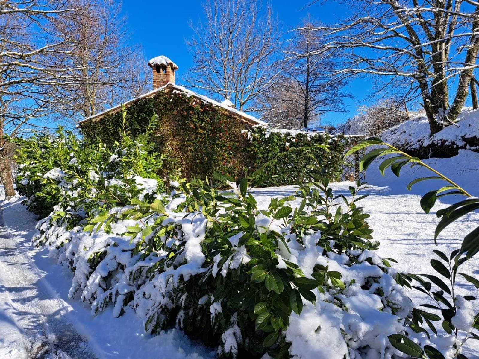 Hotel Torre Camigliati Camigliatello Silano Esterno foto