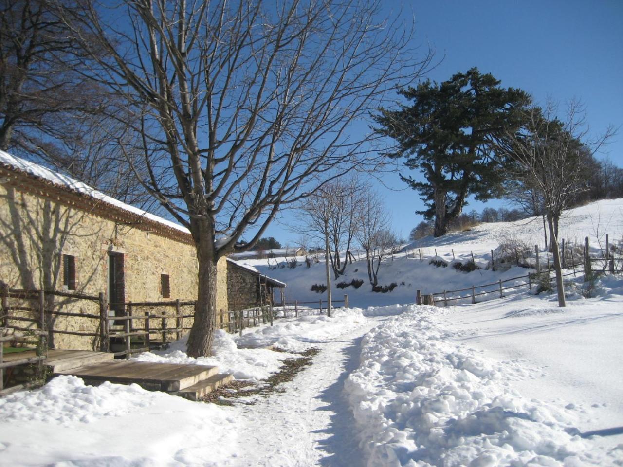 Hotel Torre Camigliati Camigliatello Silano Esterno foto