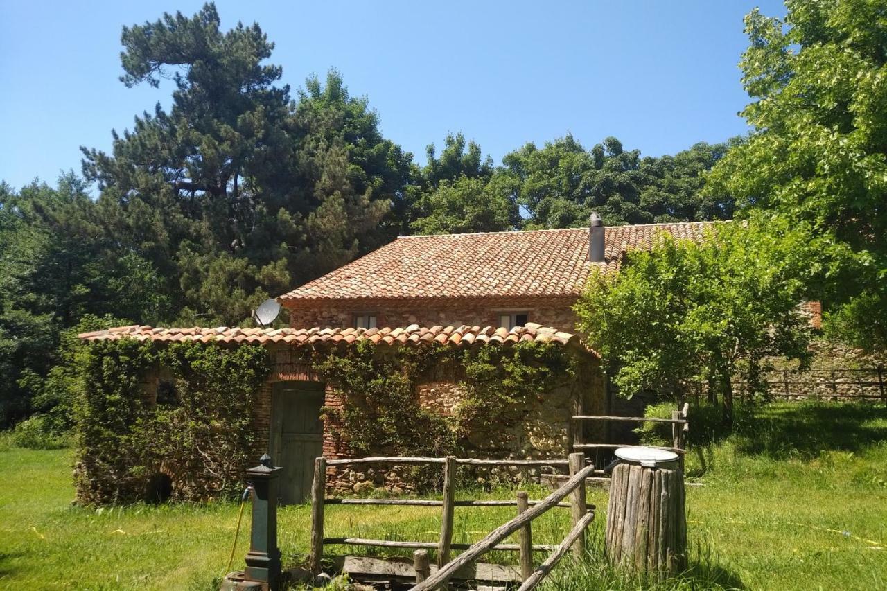 Hotel Torre Camigliati Camigliatello Silano Esterno foto